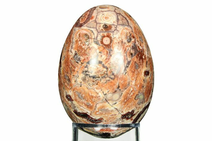 Polished Bird's Eye Jasper (Rhyolite) Egg - Mexico #308698